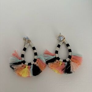 Boutique Colorful Tassel Hoop Earrings